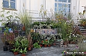 VBS_2411 - FloReal 2021 alla Palazzina di Caccia di Stupinigi